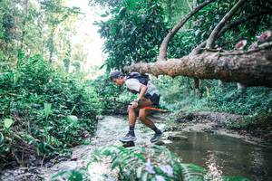 BIB: 
                            <button type="button" onclick="openModal(25430826)" class="btn btn-primary btn-sm float-right btn-popup" data-toggle="modal" data-target=".modal-high-quality">
                        <i class="fas fa-shopping-cart"></i> Add to Cart
                    </button>
                                            <button type="button" onclick="isThisMe(25430826, true)" class="btn btn-success btn-sm float-right btn-popup btn-isme hidden" data-toggle="tooltip" data-placement="bottom" title="นี่คือรูปของคุณใช่ไหม คลิกที่นี่เพื่อเอาเข้าอัลบั้ม">
                        <i class="fas fa-plus"></i> Add to album
                    </button>
                    <button type="button" onclick="isThisMe(25430826, false)" class="btn btn-warning btn-sm float-right btn-popup btn-isnotme hidden">
                        <i class="fas fa-ban"></i> Remove from album
                    </button>